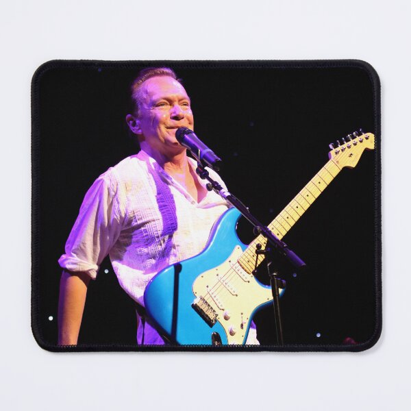 Item preview, David Cassidy - Photograph designed and sold by ConcertImages.