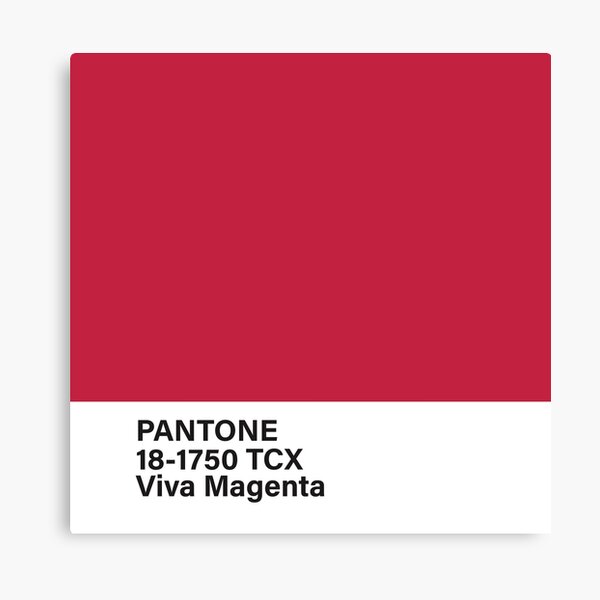 Welcome To the Magentaverse: Pantone's 2023 Color of the Year is Viva  Magenta