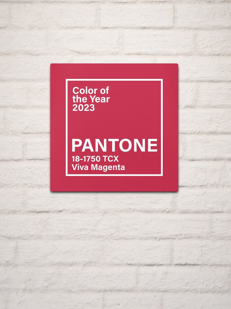 How to use Viva Magenta - Pantone Color of the Year 2023 in your Designs -  Easil