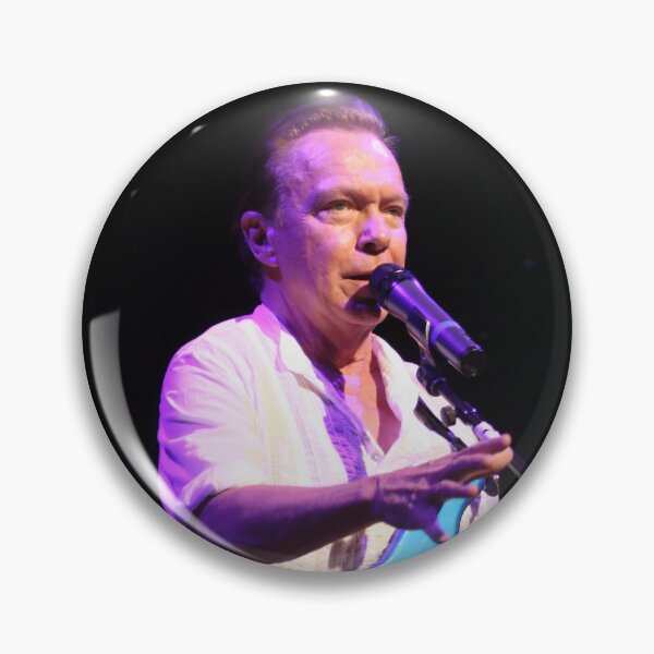 Item preview, David Cassidy - Photograph designed and sold by ConcertImages.