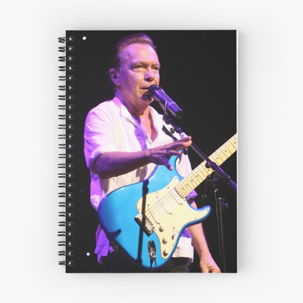 Item preview, David Cassidy - Photograph designed and sold by ConcertImages.