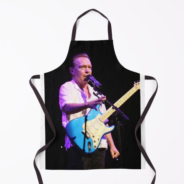 Item preview, David Cassidy - Photograph designed and sold by ConcertImages.