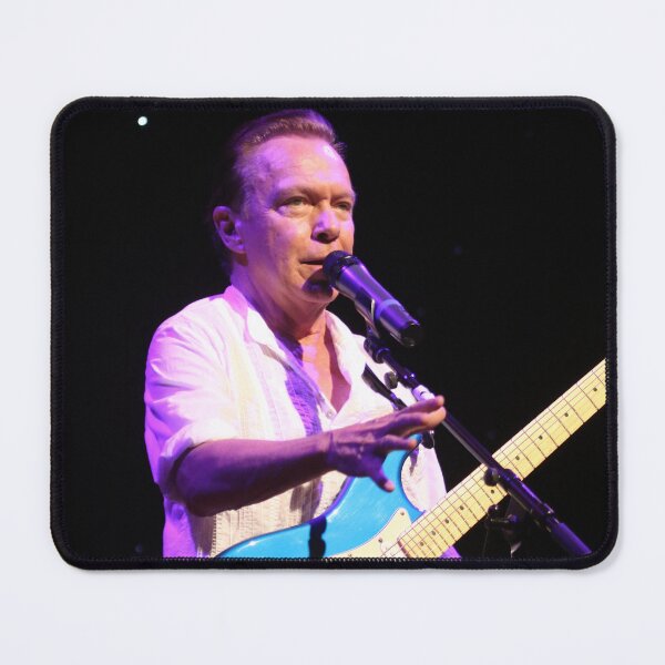 Item preview, David Cassidy - Photograph designed and sold by ConcertImages.