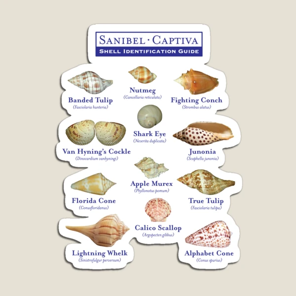 SI Sanibel Island Florida Oval - Car Magnet - 5