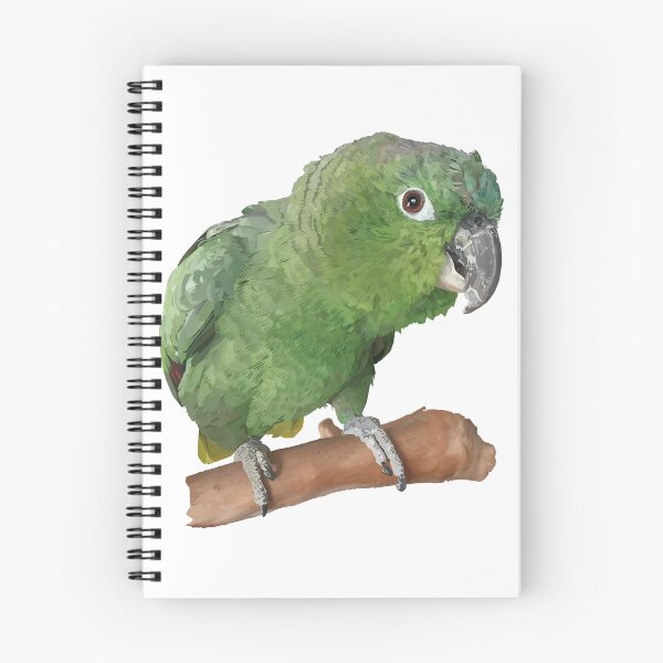 Item preview, the mealy parrot designed and sold by obscurite.