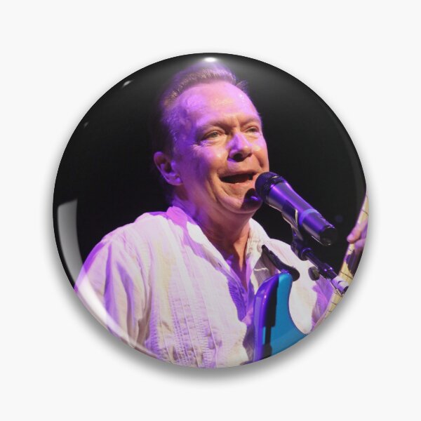Item preview, David Cassidy - Photograph designed and sold by ConcertImages.