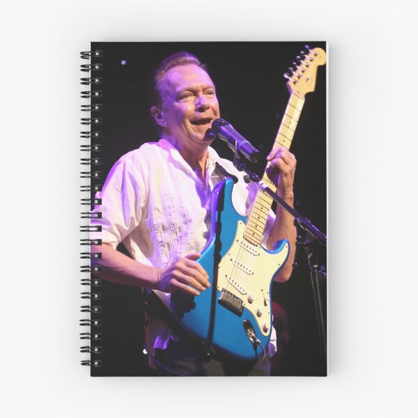 Item preview, David Cassidy - Photograph designed and sold by ConcertImages.