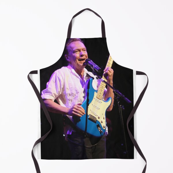 Item preview, David Cassidy - Photograph designed and sold by ConcertImages.