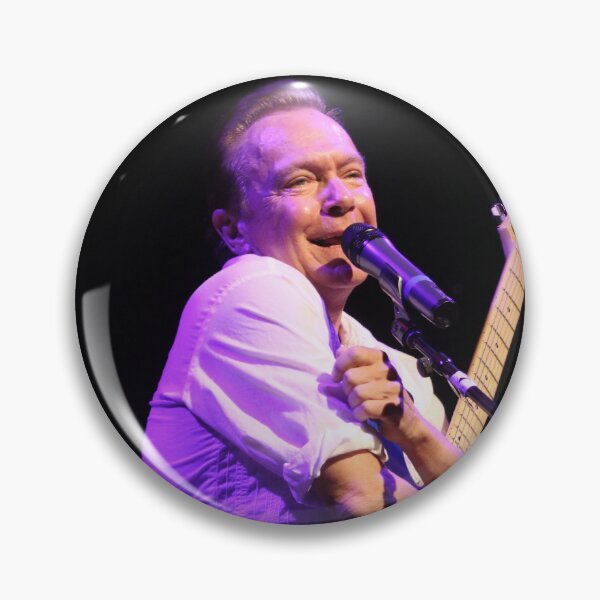 Item preview, David Cassidy - Photograph designed and sold by ConcertImages.