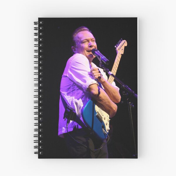 Item preview, David Cassidy - Photograph designed and sold by ConcertImages.