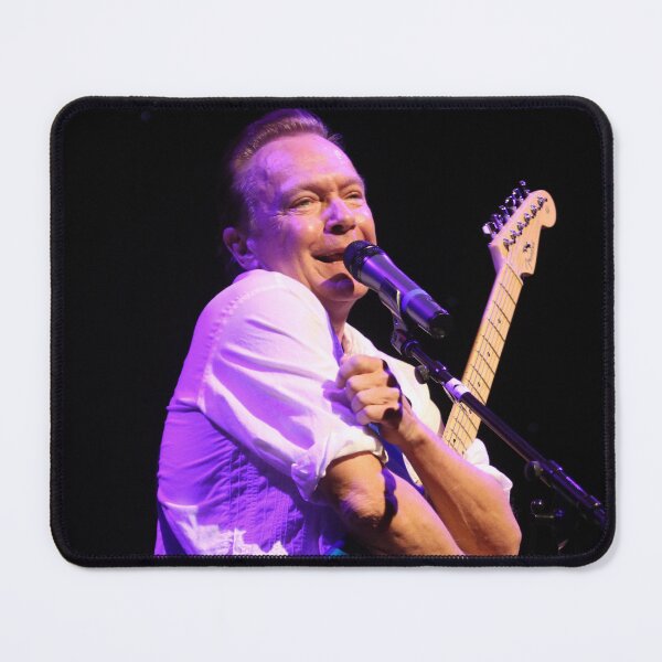 Item preview, David Cassidy - Photograph designed and sold by ConcertImages.
