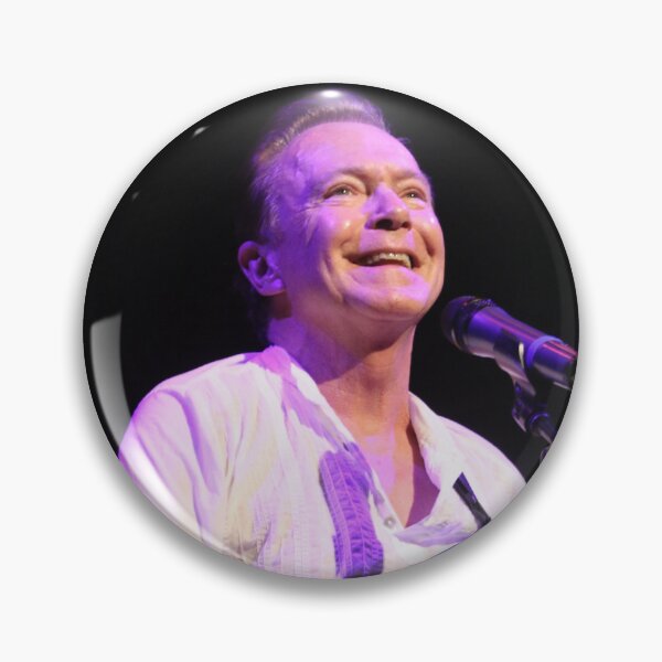 Item preview, David Cassidy - Photograph designed and sold by ConcertImages.