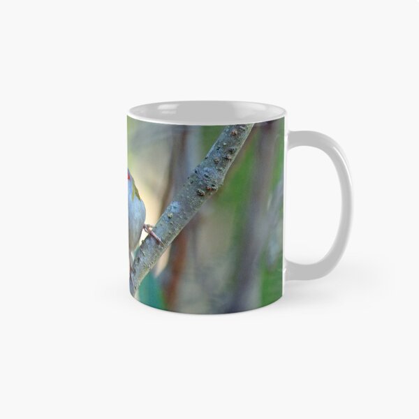 Item preview, © Red-browed finch designed and sold by GeoPipics.