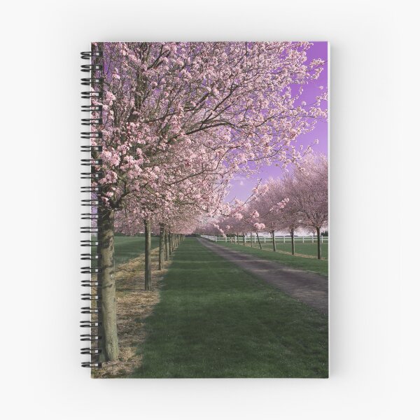 Item preview, cherry-blossom designed and sold by Anato98.