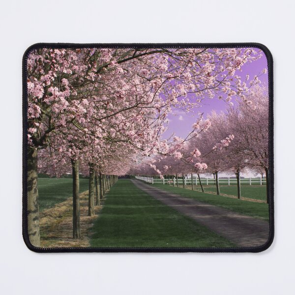 Item preview, cherry-blossom designed and sold by Anato98.