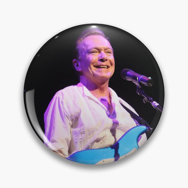 Item preview, David Cassidy - Photograph designed and sold by ConcertImages.