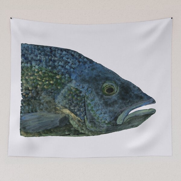Item preview, Fish Eye || Watercolor Art by Sulazen designed and sold by SULAZEN.