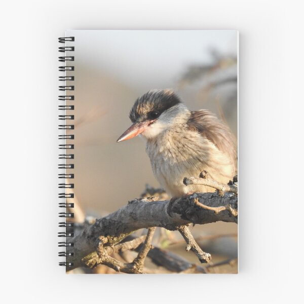 Item preview, Kingfisher designed and sold by cryophytum.