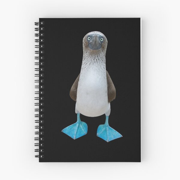 Item preview, Blue Footed Booby Bird designed and sold by 2djazz.