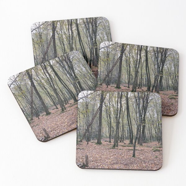 Item preview, bosque misterioso en francia designed and sold by golan22may.