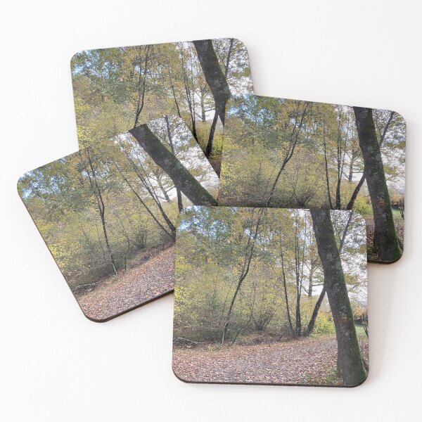 Item preview, Mysterious Forest In France designed and sold by golan22may.