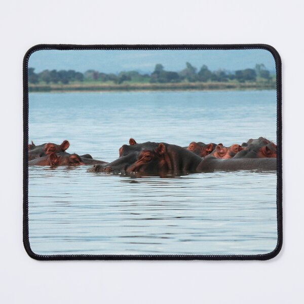 Item preview, Hippo Herd Omo River Africa designed and sold by worldways.