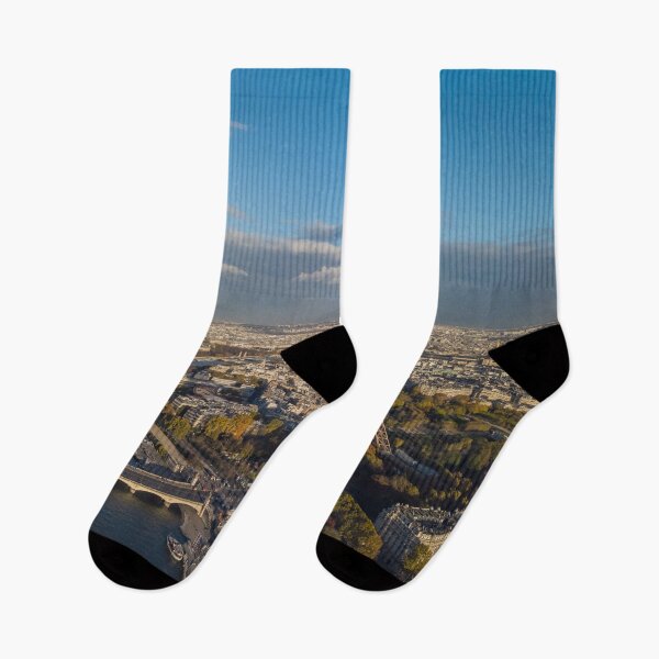 Item preview, Paris City View Landscape designed and sold by PlantDemia.
