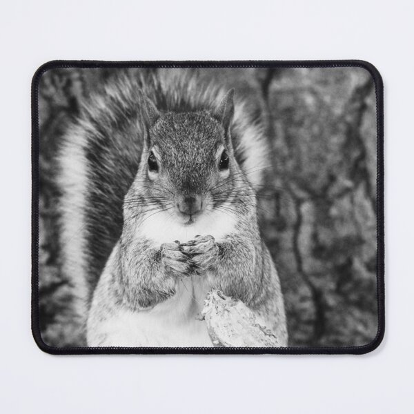 Item preview, Grayscale squirrel designed and sold by jodi payne.