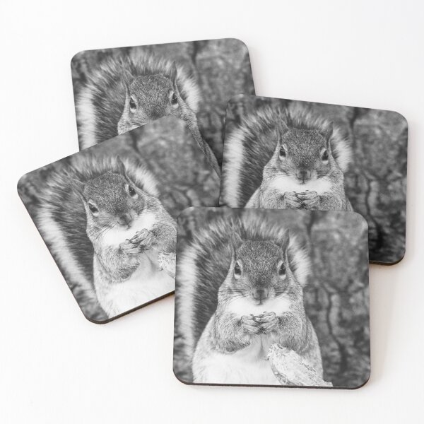 Item preview, Grayscale squirrel designed and sold by jodi payne.