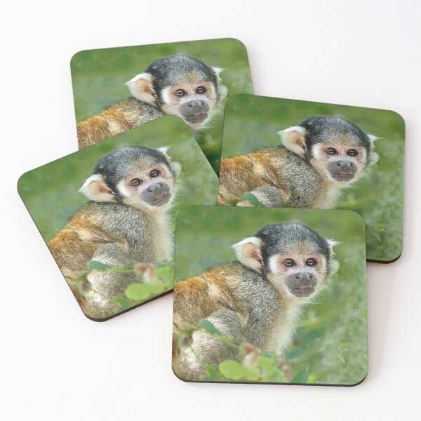 Item preview, r3112/  New finition 2021 " la Vallée des Singes 86 "  par Okaio Créations  Olavia - Olao designed and sold by o.okaïo.