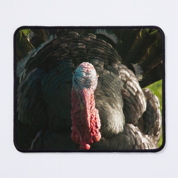 Item preview, turkey bird designed and sold by Francespoppy.