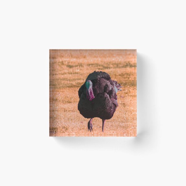 Item preview, Turkey designed and sold by Francespoppy.