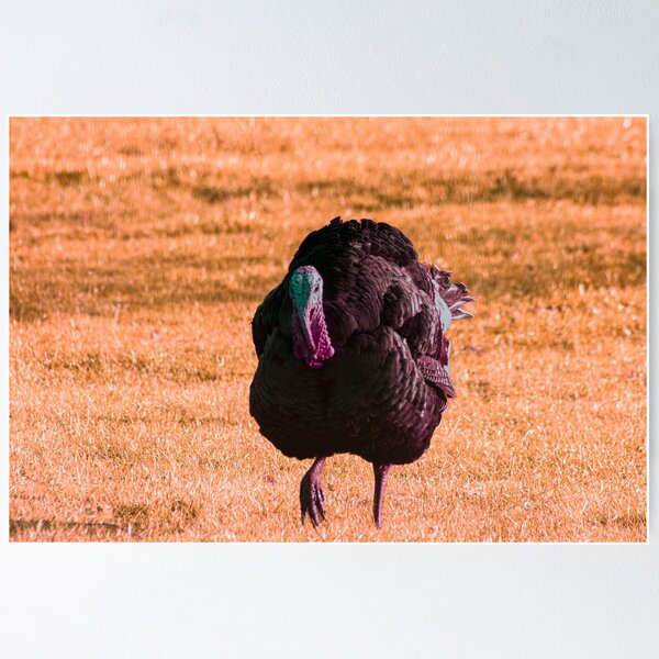 Item preview, Turkey designed and sold by Francespoppy.