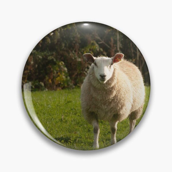 Artikelvorschau, Schafe auf einem Feld entworfen und verkauft von Francespoppy.