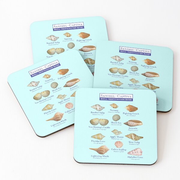 Item preview, Sanibel, Captiva Island Florida Shell Identification Guide designed and sold by Futurebeachbum.