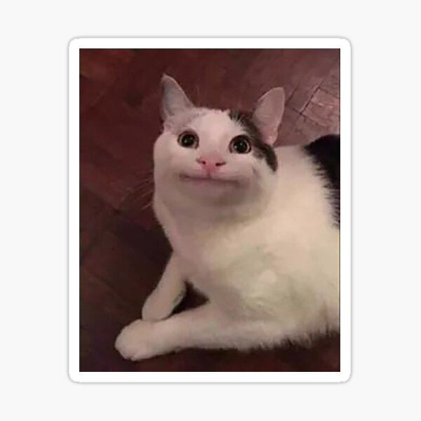 Item preview, Cat funny face meme  designed and sold by PedestrianWalk.