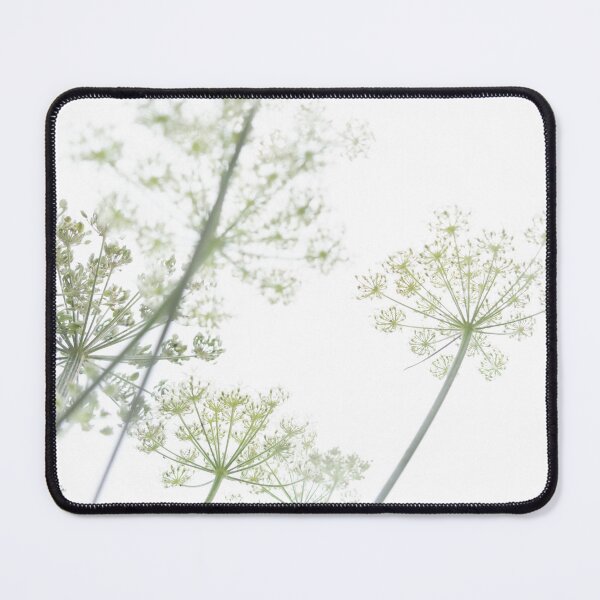 Item preview, Cow Parsley on white background designed and sold by HAPhotography.