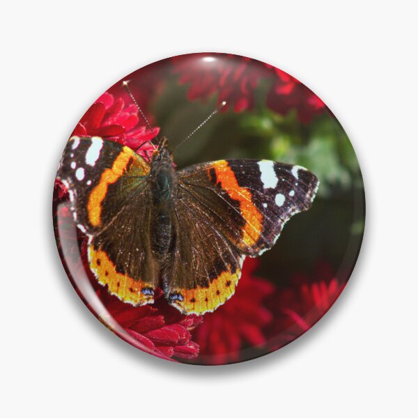 Item preview, red admiral on red flowers designed and sold by Francespoppy.