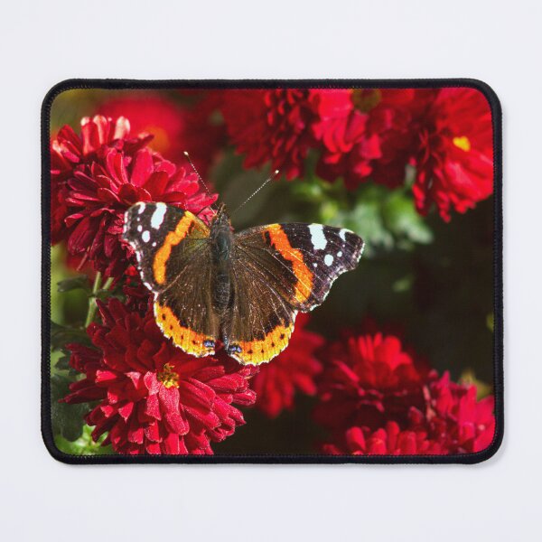 Item preview, red admiral on red flowers designed and sold by Francespoppy.