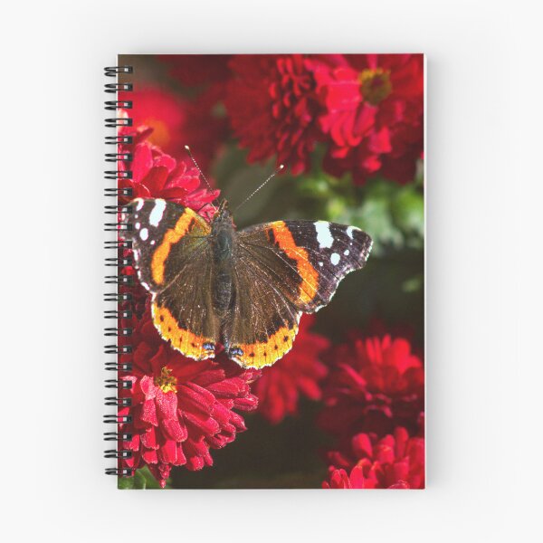 Item preview, red admiral on red flowers designed and sold by Francespoppy.