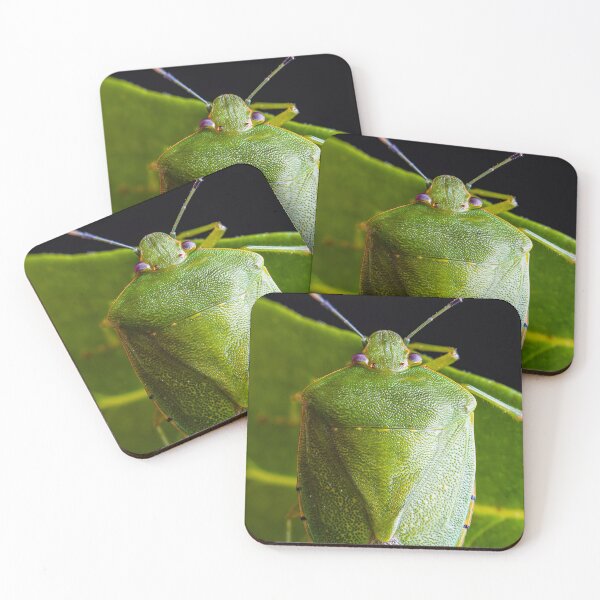 Item preview, Green Stink Bug - Chinavia hilaris designed and sold by AronsTinySafari.
