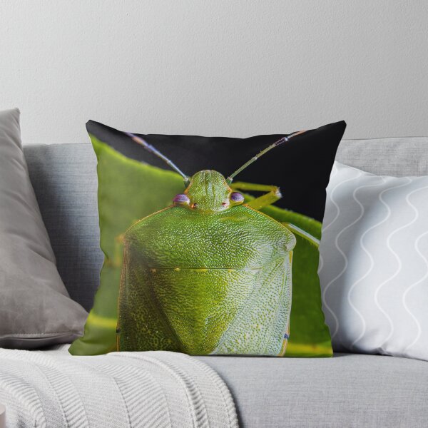 Item preview, Green Stink Bug - Chinavia hilaris designed and sold by AronsTinySafari.