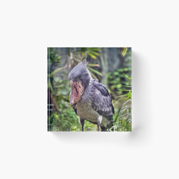 Item preview, Shoebill  designed and sold by Savannah Gibbs.