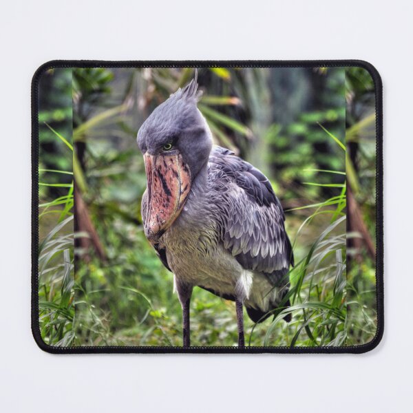 Item preview, Shoebill designed and sold by Savannah Gibbs.