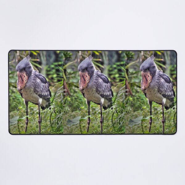 Item preview, Shoebill designed and sold by Savannah Gibbs.
