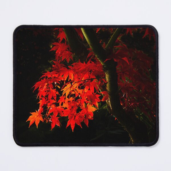 Item preview, Fall Japanese Maple in Butchart Gardens designed and sold by JenneRPhoto.
