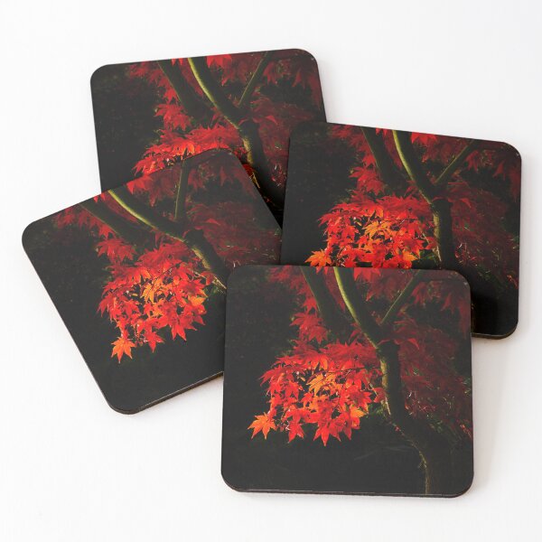 Item preview, Fall Japanese Maple in Butchart Gardens designed and sold by JenneRPhoto.