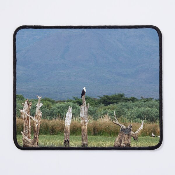 Item preview, African Fish Eagle Bird Skeleton Trees Landscape Africa designed and sold by worldways.
