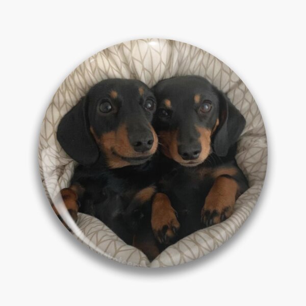 Dachshund dog pin, pewter look, pink eyes, very nice finish.