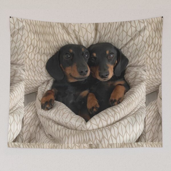 Item preview, Twins Dachshund Dog photo portrait sweet brothers designed and sold by Coolstuff4you71.